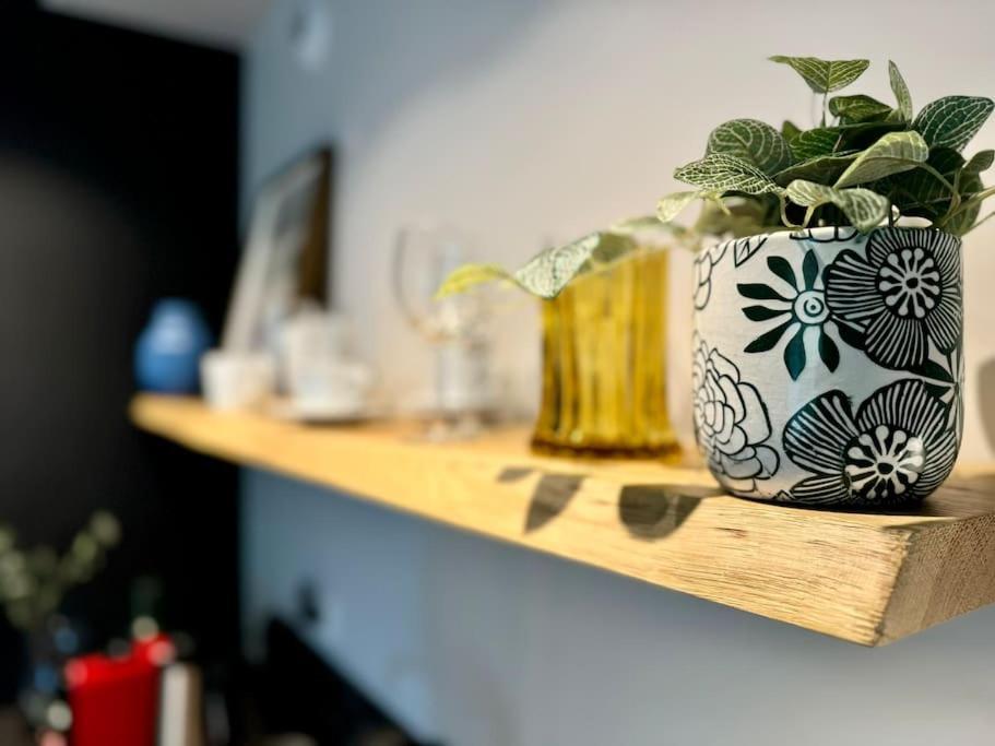 Art & Sunski Studio Z Garazem Podziemnym Krynica Zdrój Kültér fotó